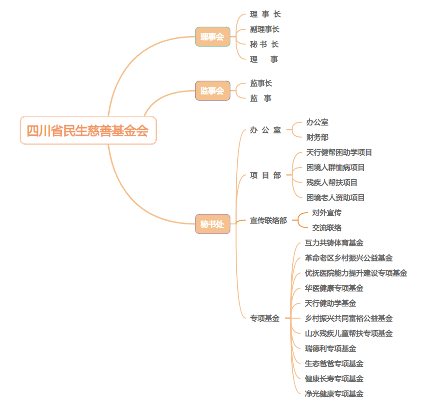 四川省民生慈善基金会组织构架图.png